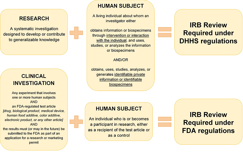 RESEARCH (Systematic investigation designed to develop or contribute to generalizable knowledge) + HUMAN SUBJECT (Research about a living individual either through interaction or intervention OR use of identifiable private information) = IRB Review